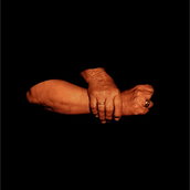 Apiros — Polyphonic Caravan